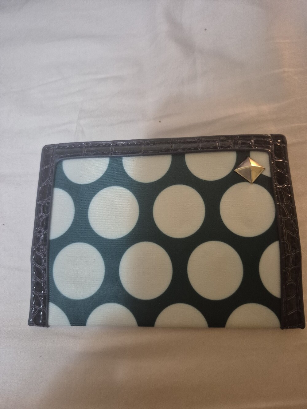 Polka Dot Passport Holder with Stud Detail - Green and Cream